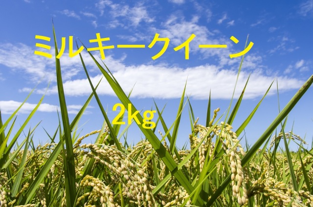 ミルキークイーン 2kg