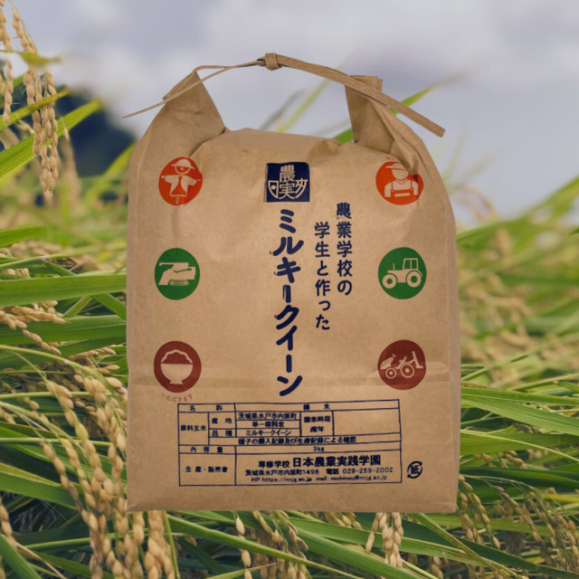 ミルキークイン